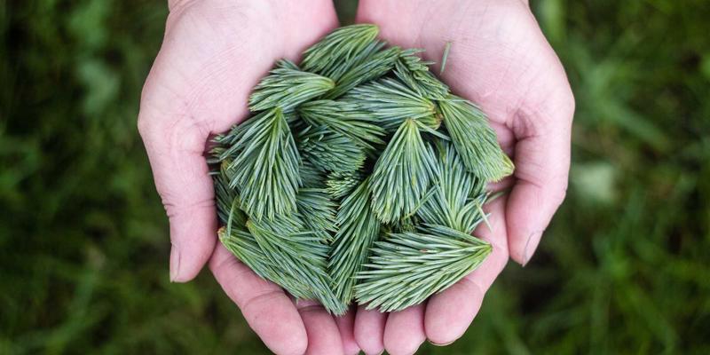 机器视觉与AI质检：智能控制系统如何重塑工业质量监控新范式