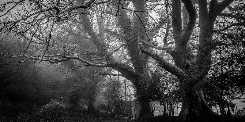 科拓达工业自动化与智能控制系统全攻略：从选型到高效部署的实战指南